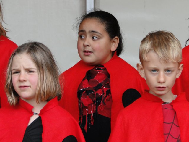 Koninginnedag 2010 111.jpg